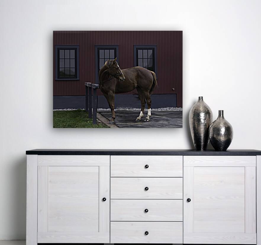 ANI 00109 Reproduction