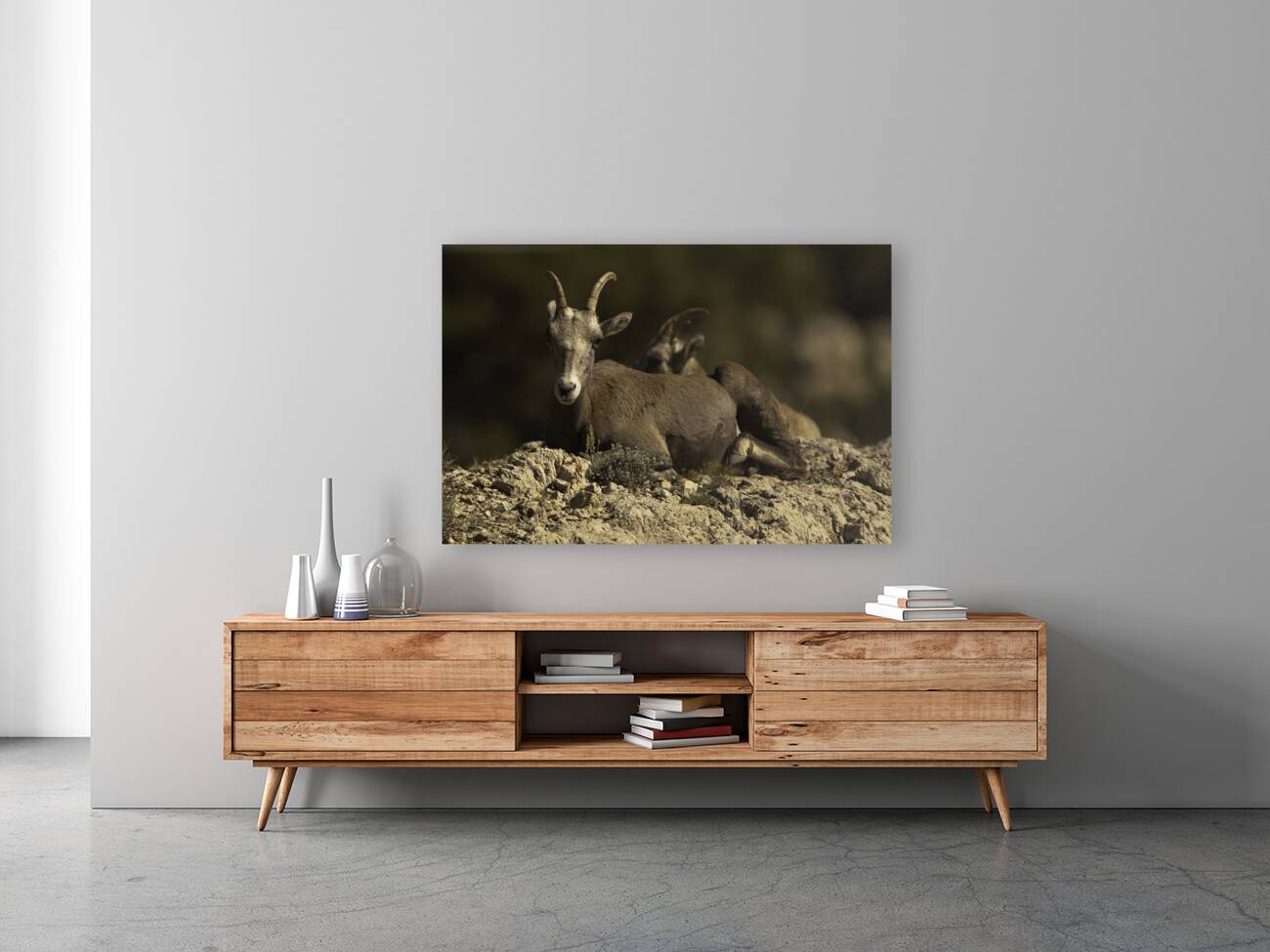 ANI 00094 Reproduction