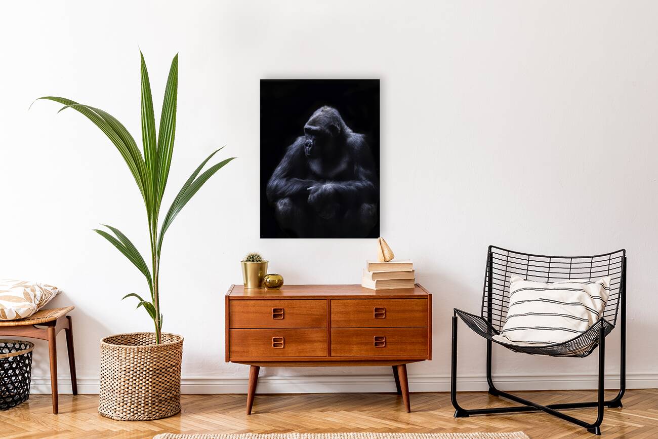 ANI 00102 Reproduction