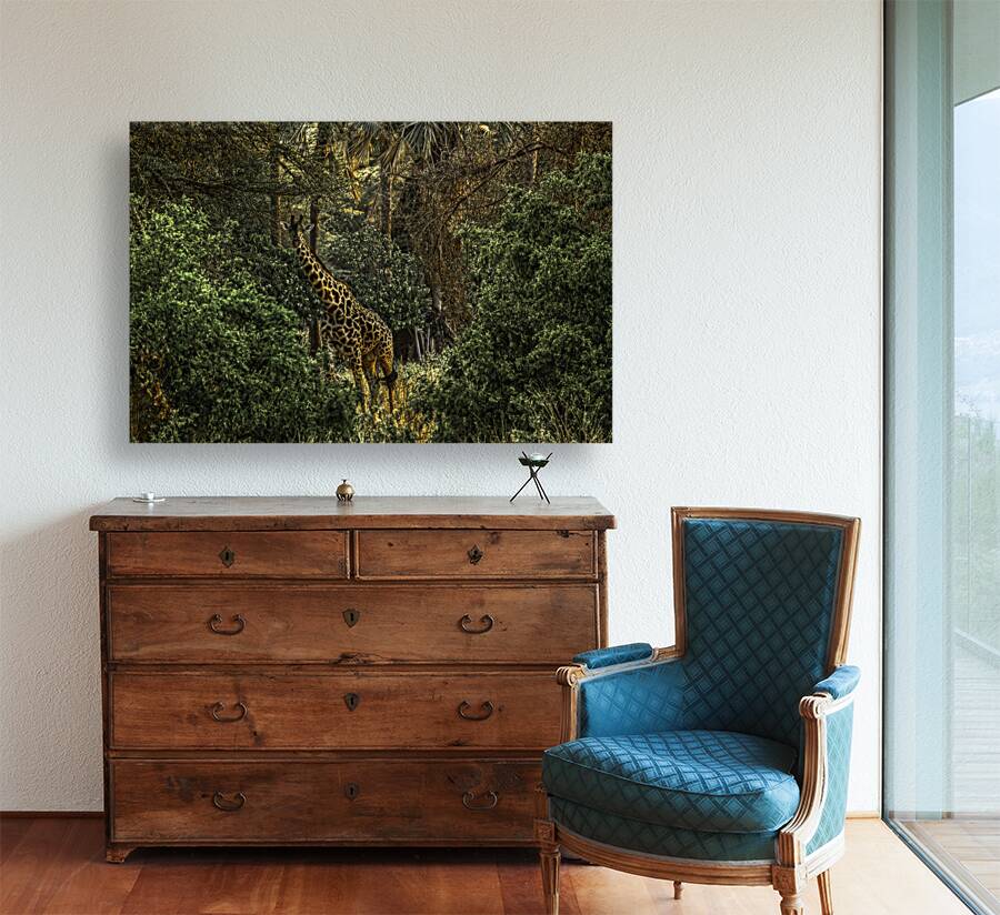 ANI 00092 Reproduction