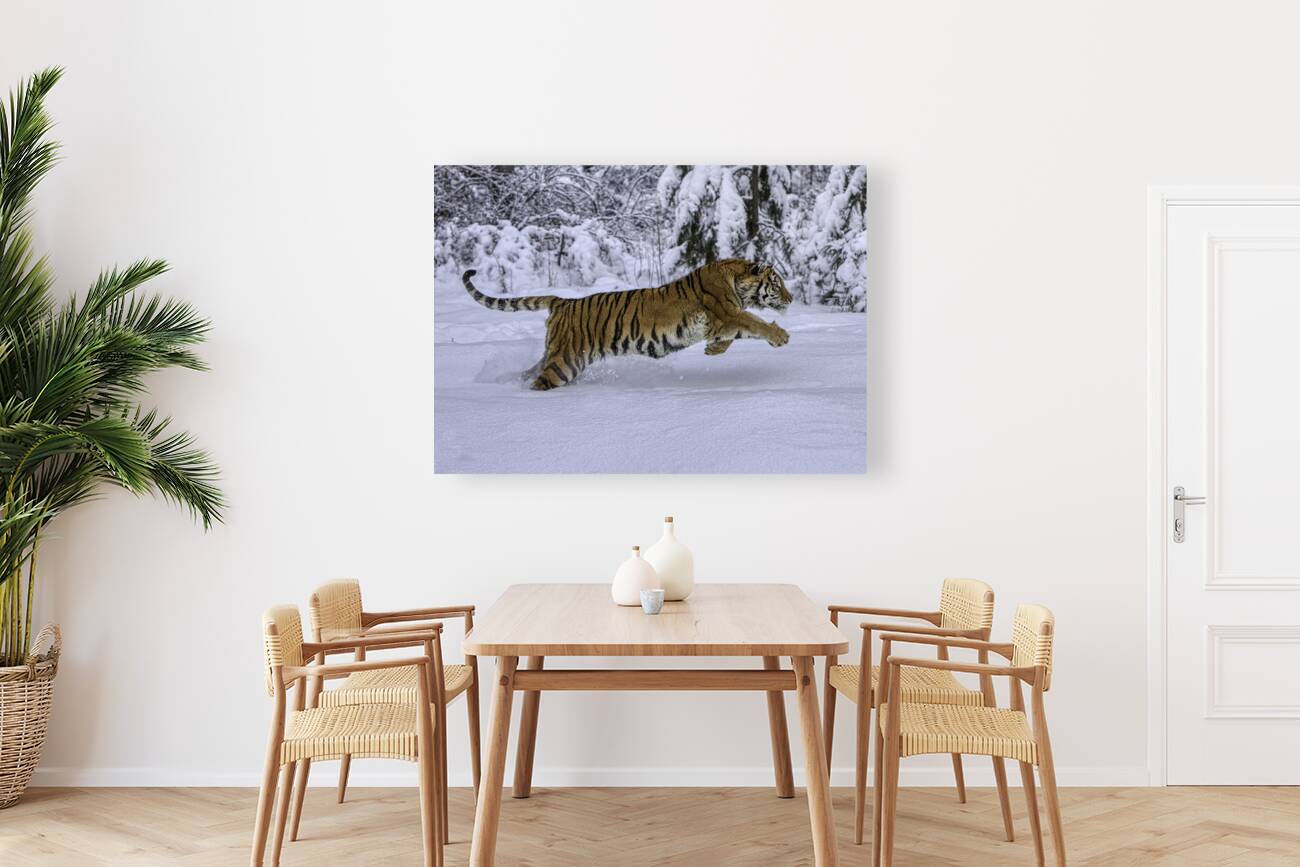ANI 00140 Reproduction