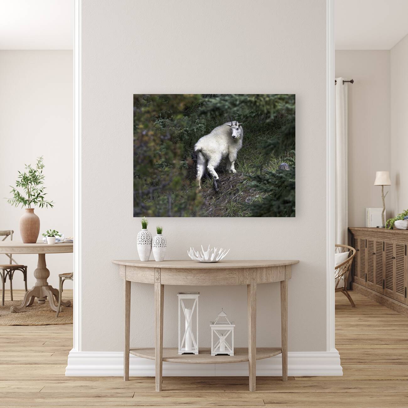 ANI 00121 Reproduction