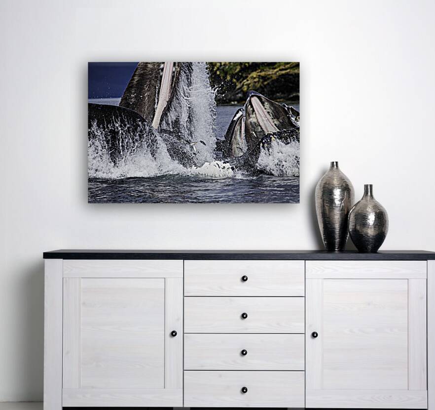 ANI 00126 Reproduction