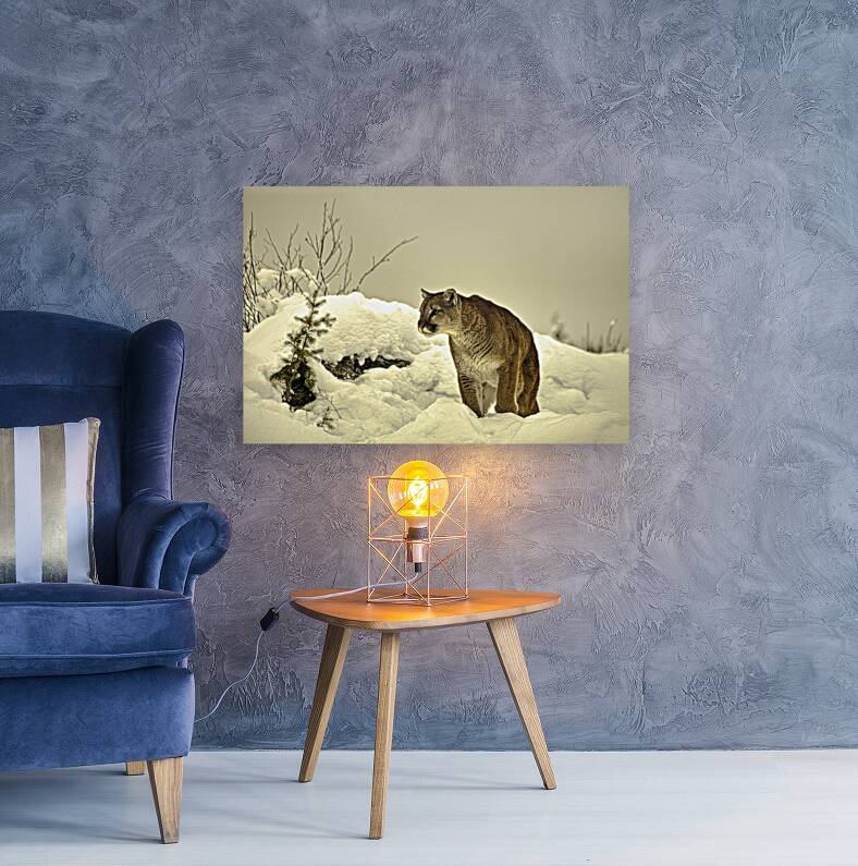 ANI 00155 Reproduction