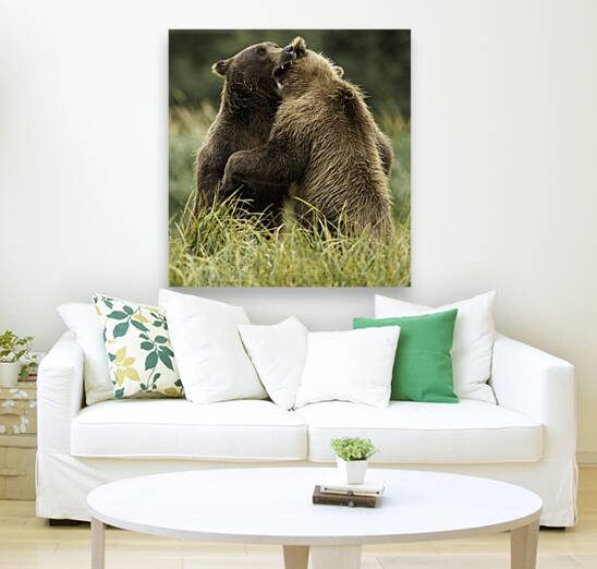 ANI 00163 Reproduction