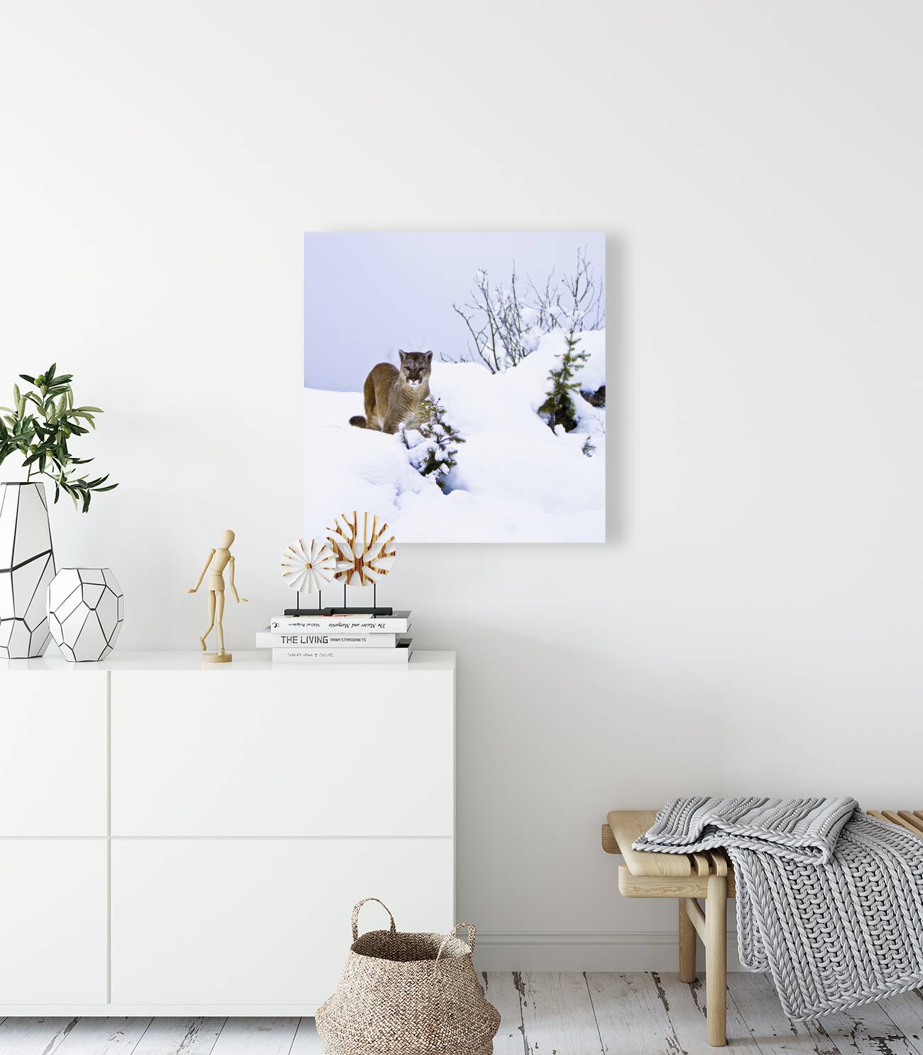 ANI 00153 Reproduction