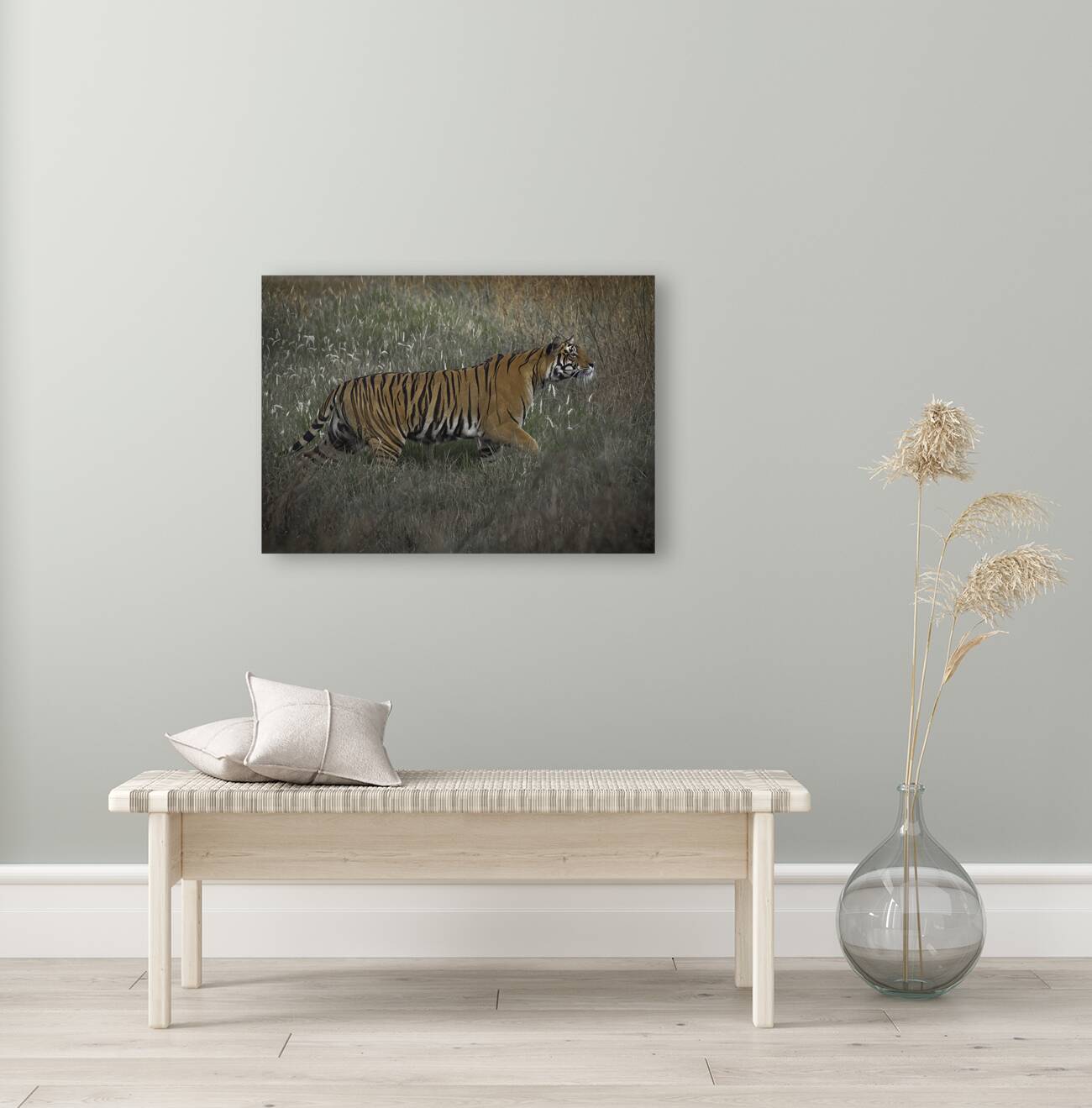 ANI 00184 Reproduction