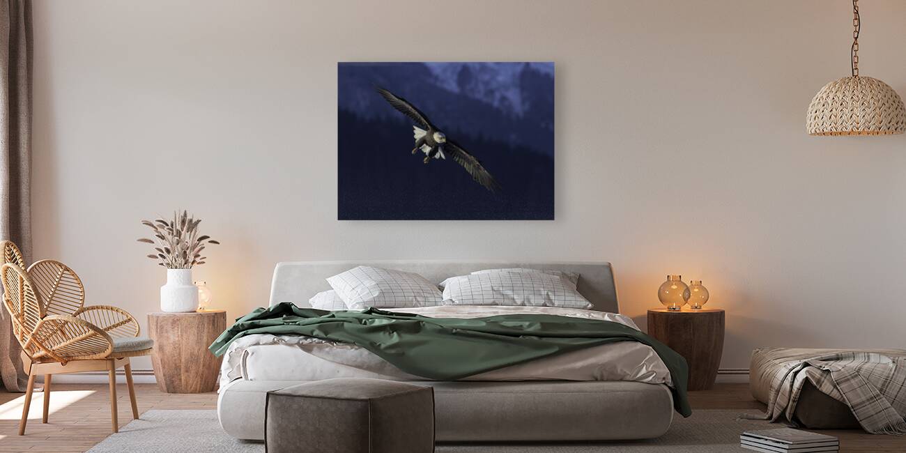BIR 00212 Reproduction