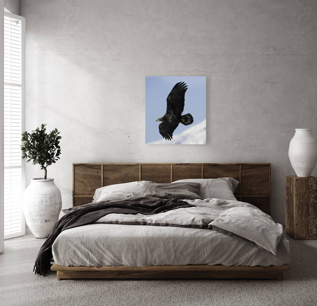 BIR 00213 Reproduction