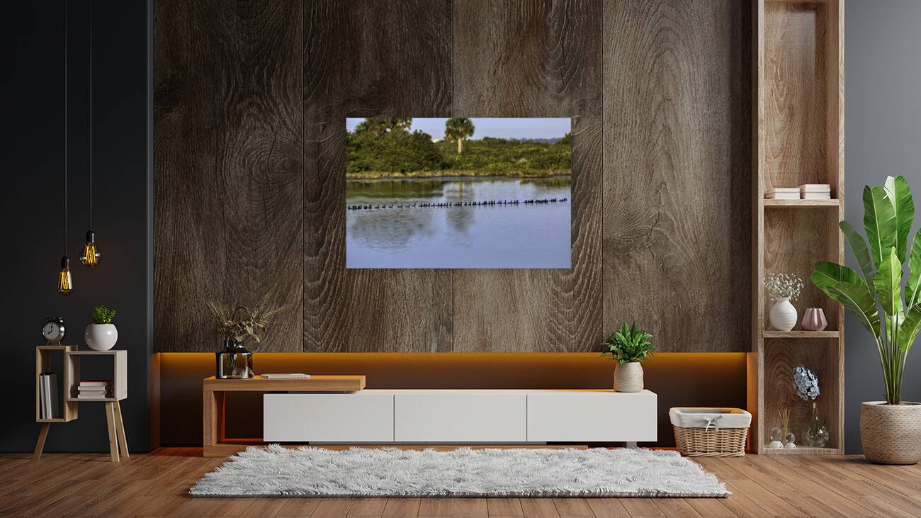 BIR 00224 Reproduction