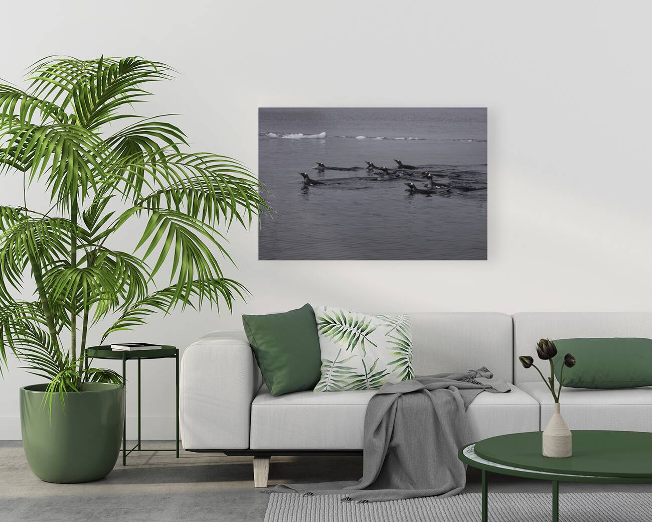 BIR 00236 Reproduction