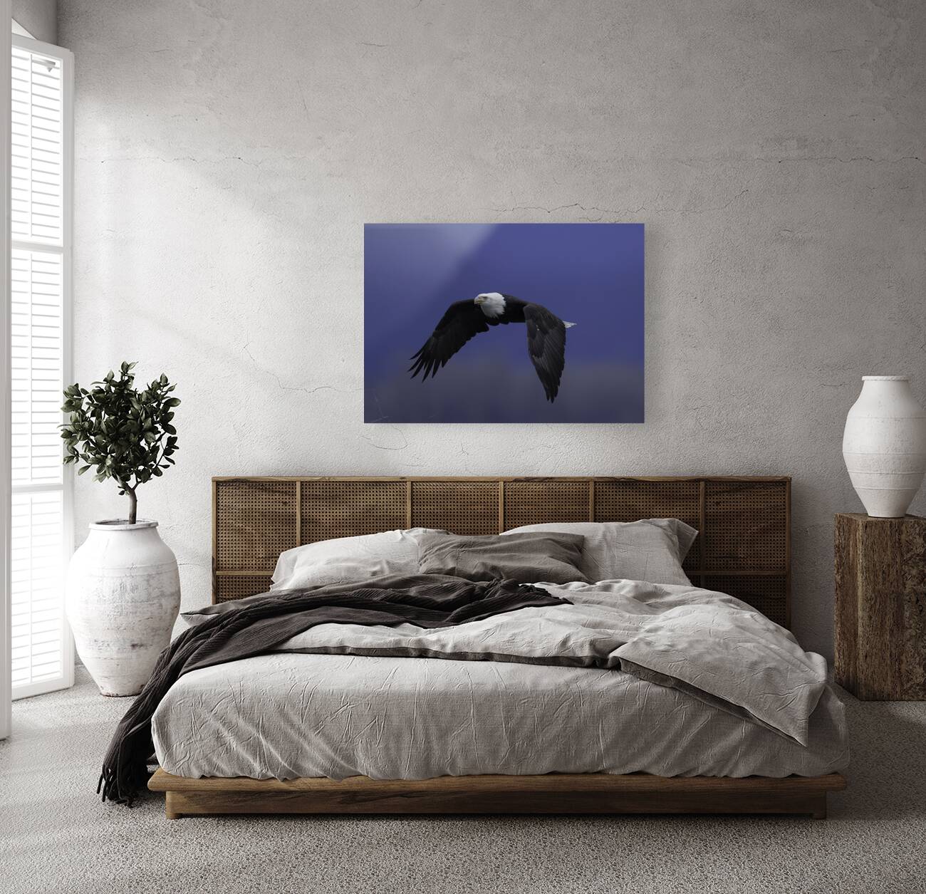 BIR 00251 Reproduction