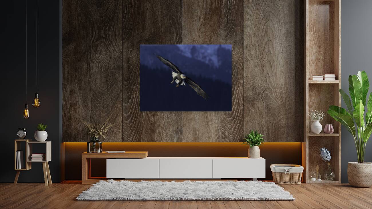 BIR 00256 Reproduction
