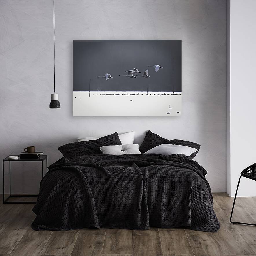 BIR 00297 Reproduction
