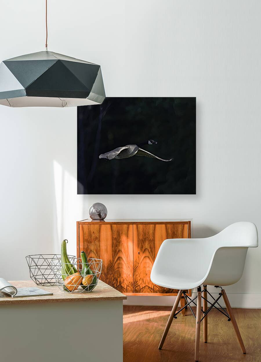 BIR 00301 Reproduction