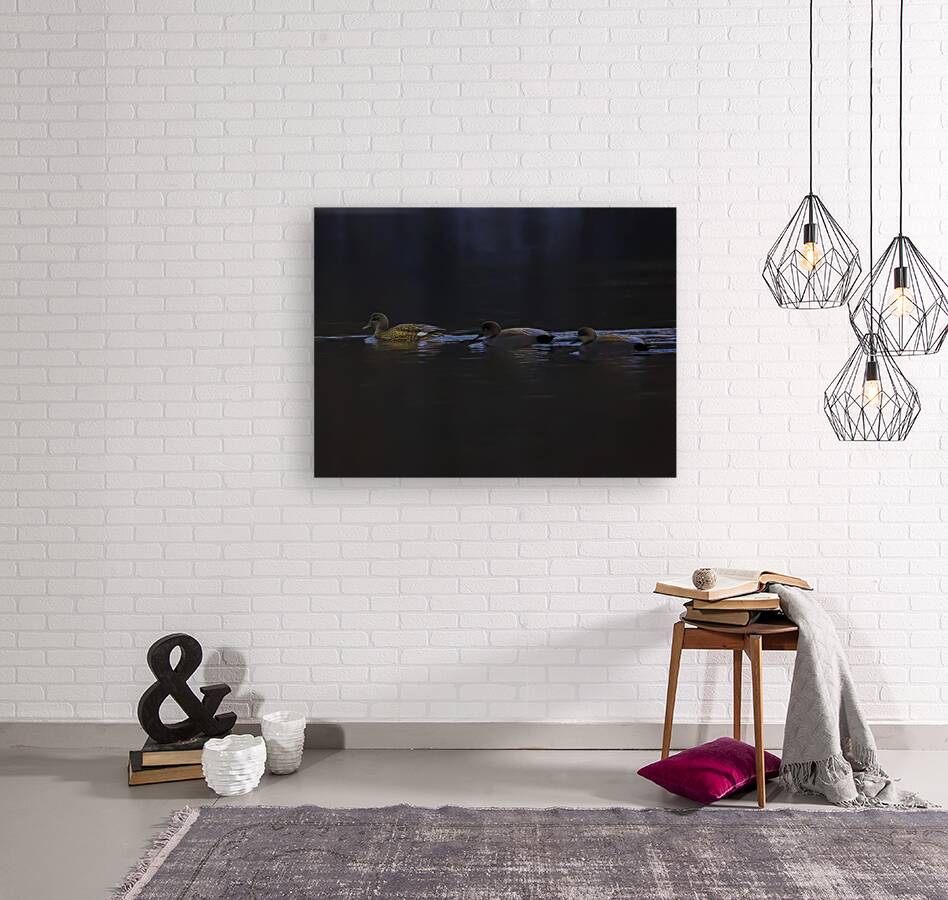 BIR 00295 Reproduction