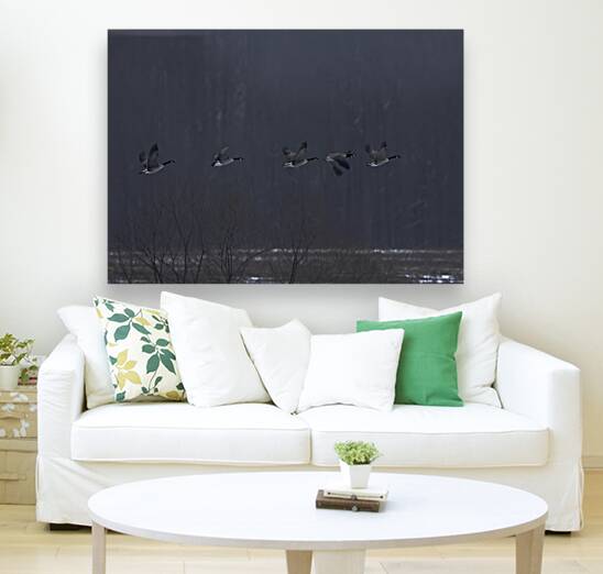 BIR 00298 Reproduction