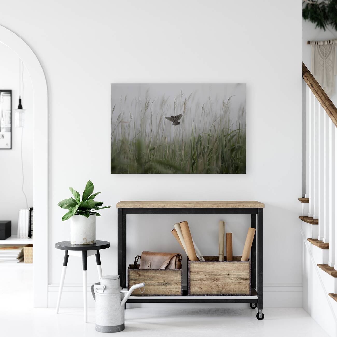 BIR 00311 Reproduction