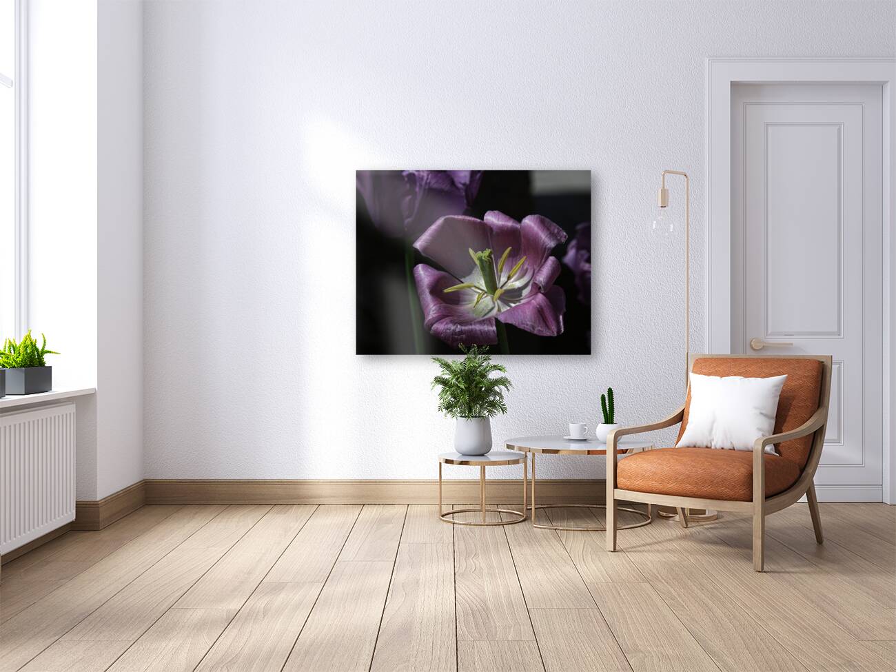 FLO 00436 Reproduction