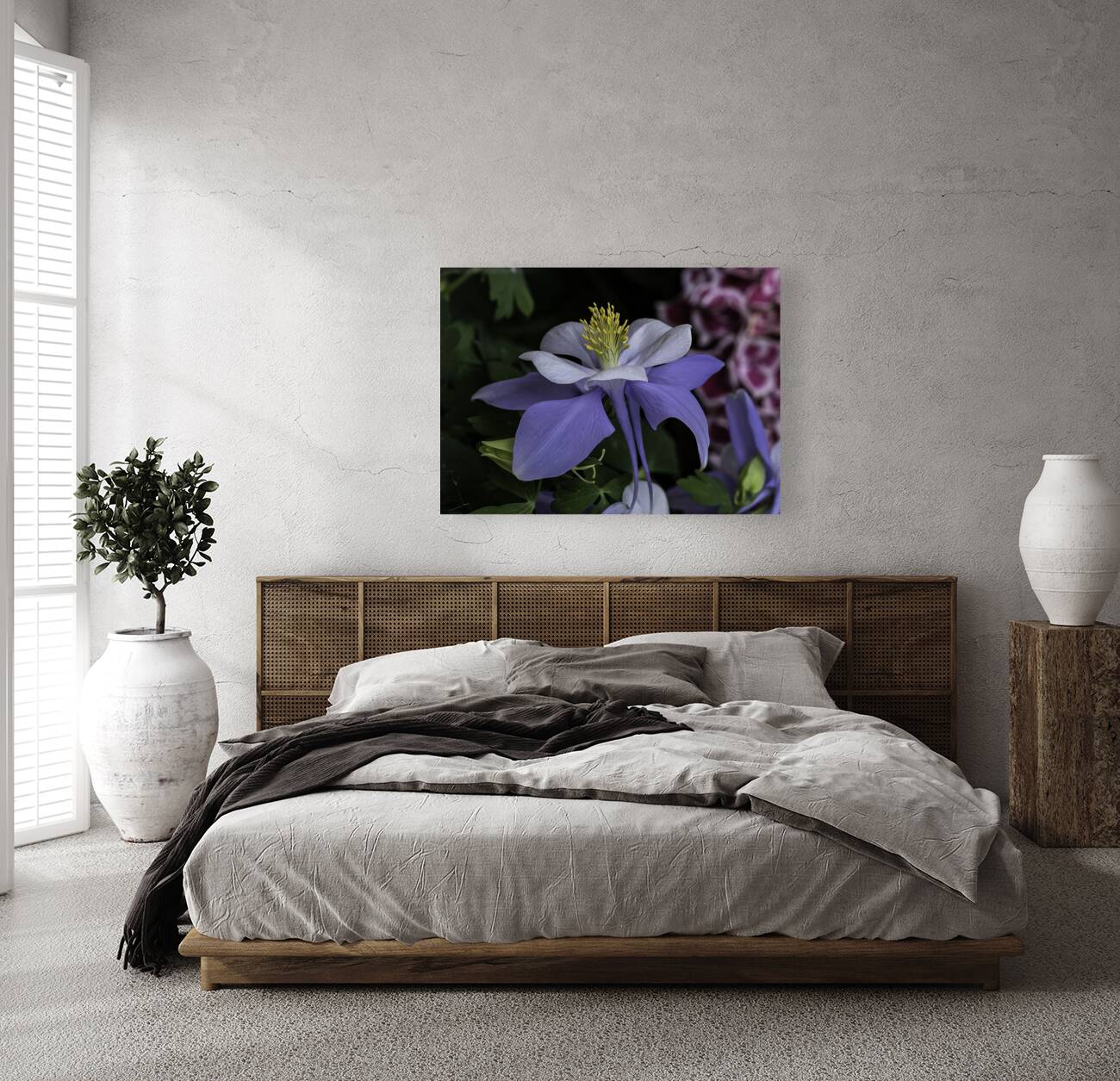 FLO 00445 Reproduction