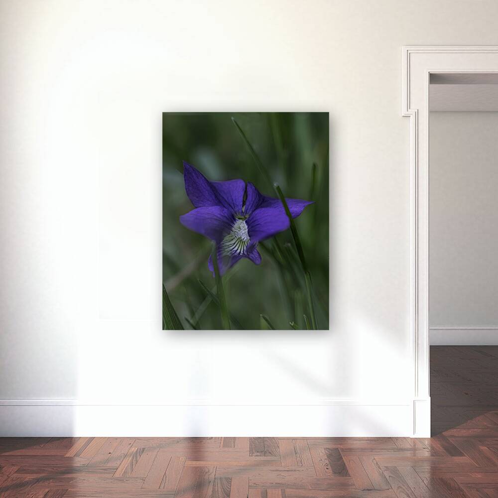 FLO 00455 Reproduction