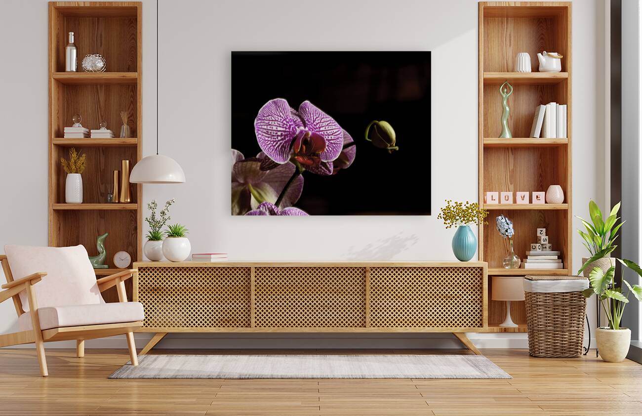 FLO 00425 Reproduction