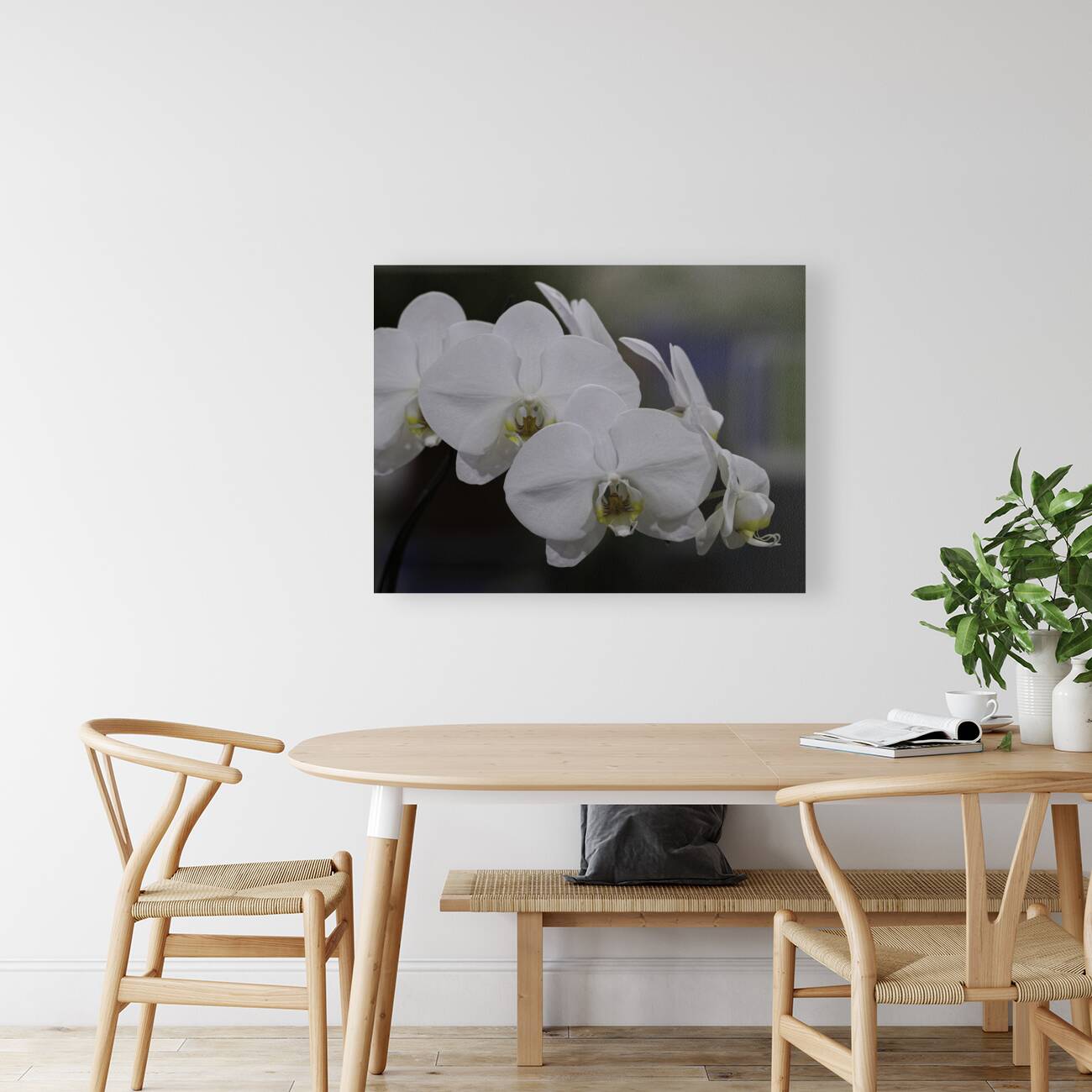 FLO 00498 Reproduction
