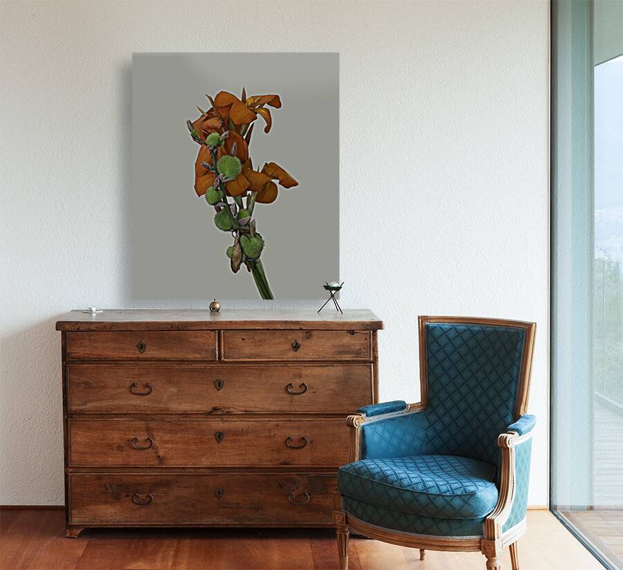FLO 00490 Reproduction