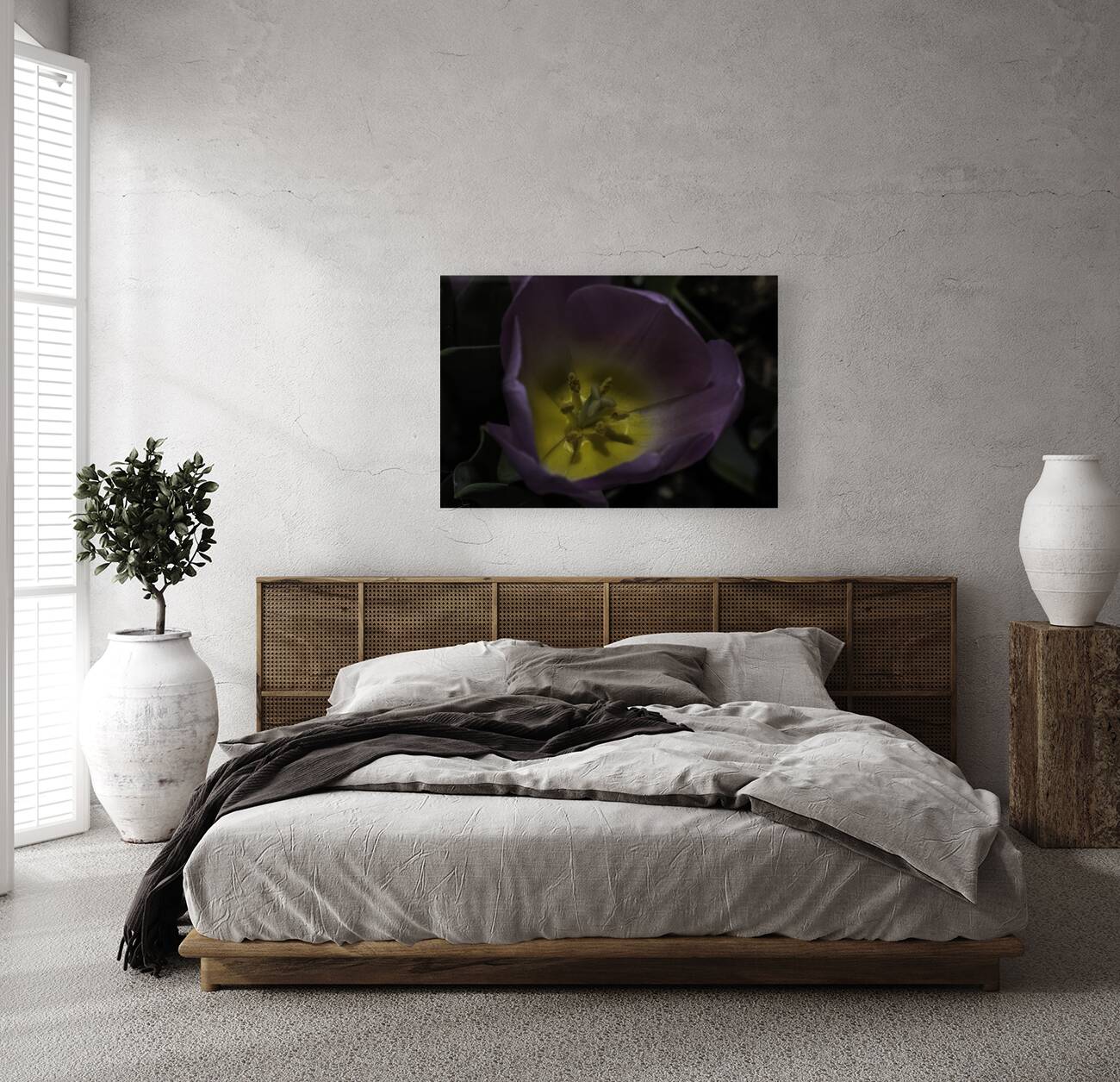 FLO 00495 Reproduction