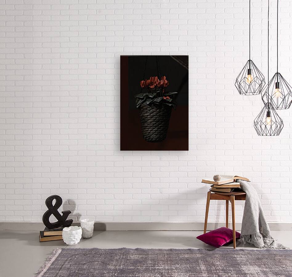 FLO 00493 Reproduction