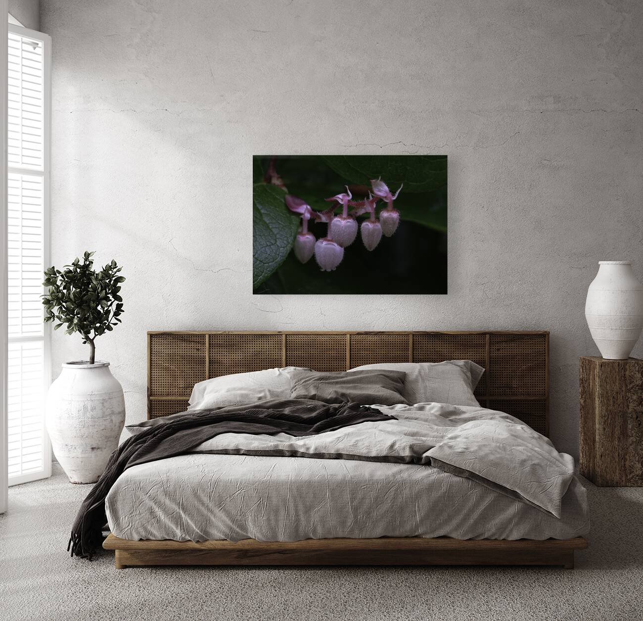 FLO 00481 Reproduction