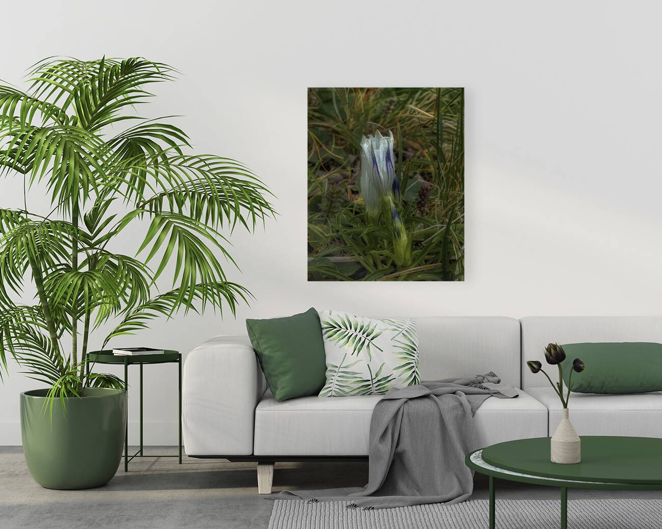 *FLO 00473 Reproduction