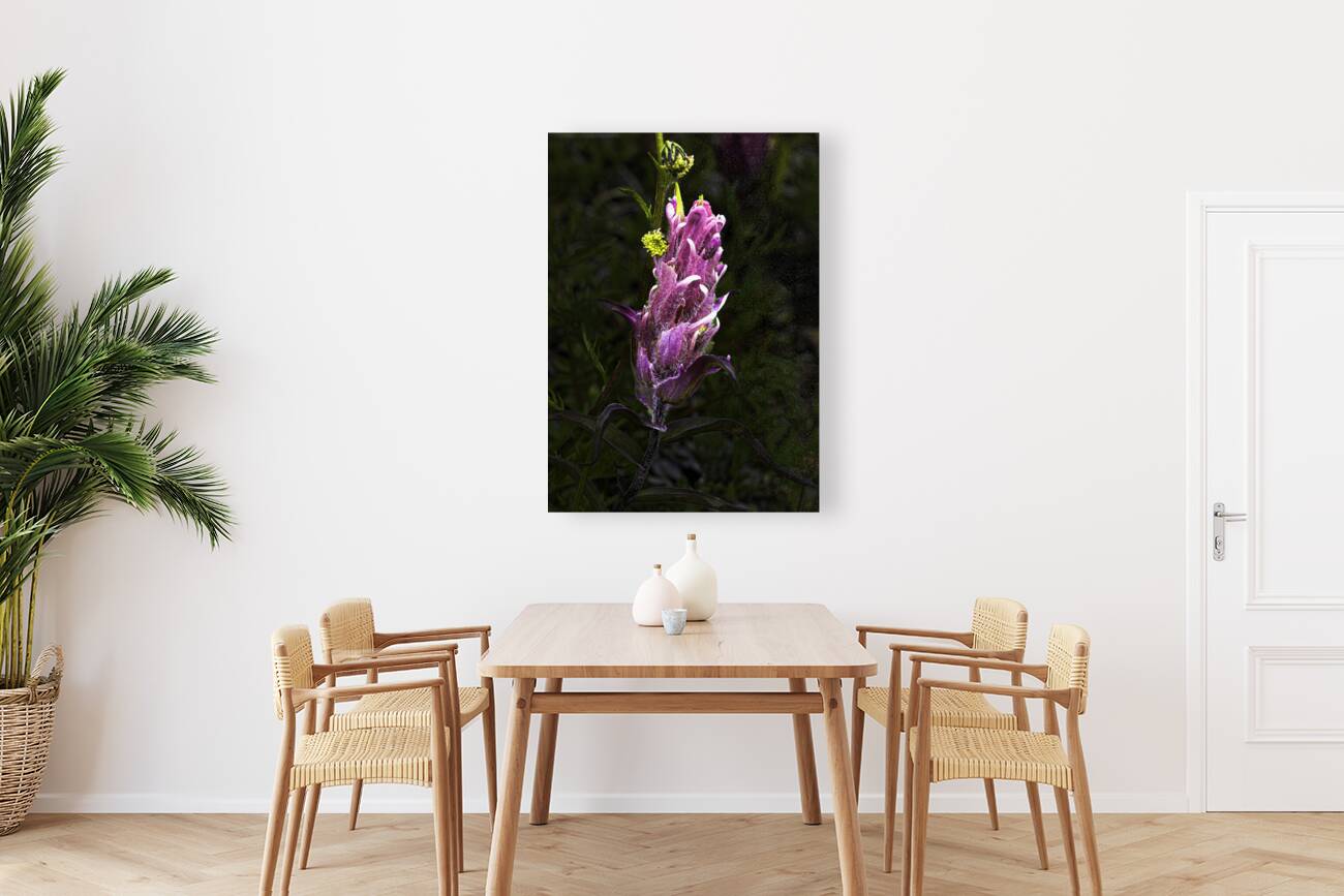 FLO 00475 Reproduction