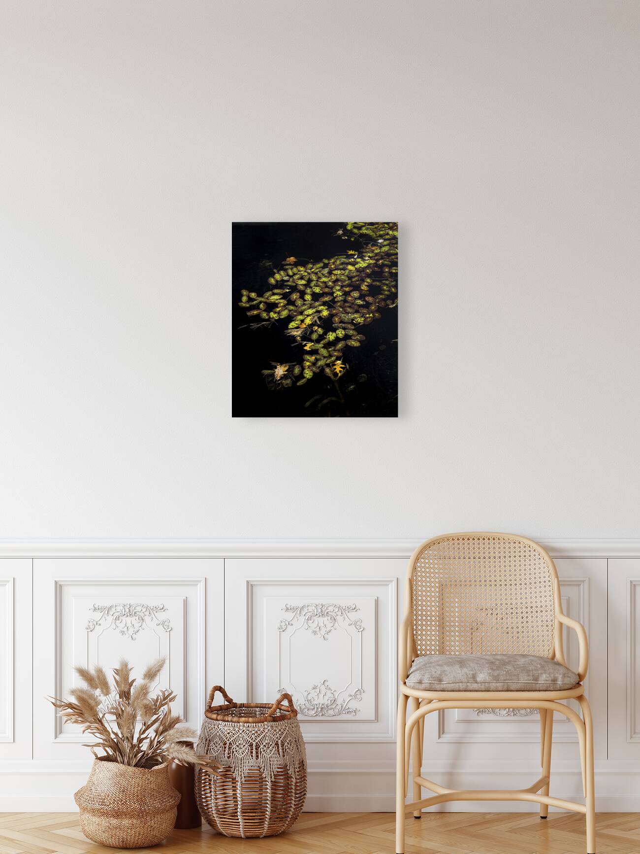 *FLO 00469 Reproduction