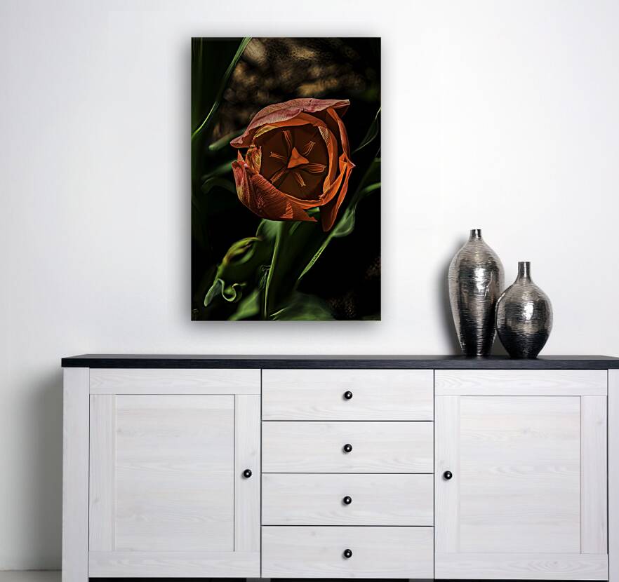 FLO 00522 Reproduction