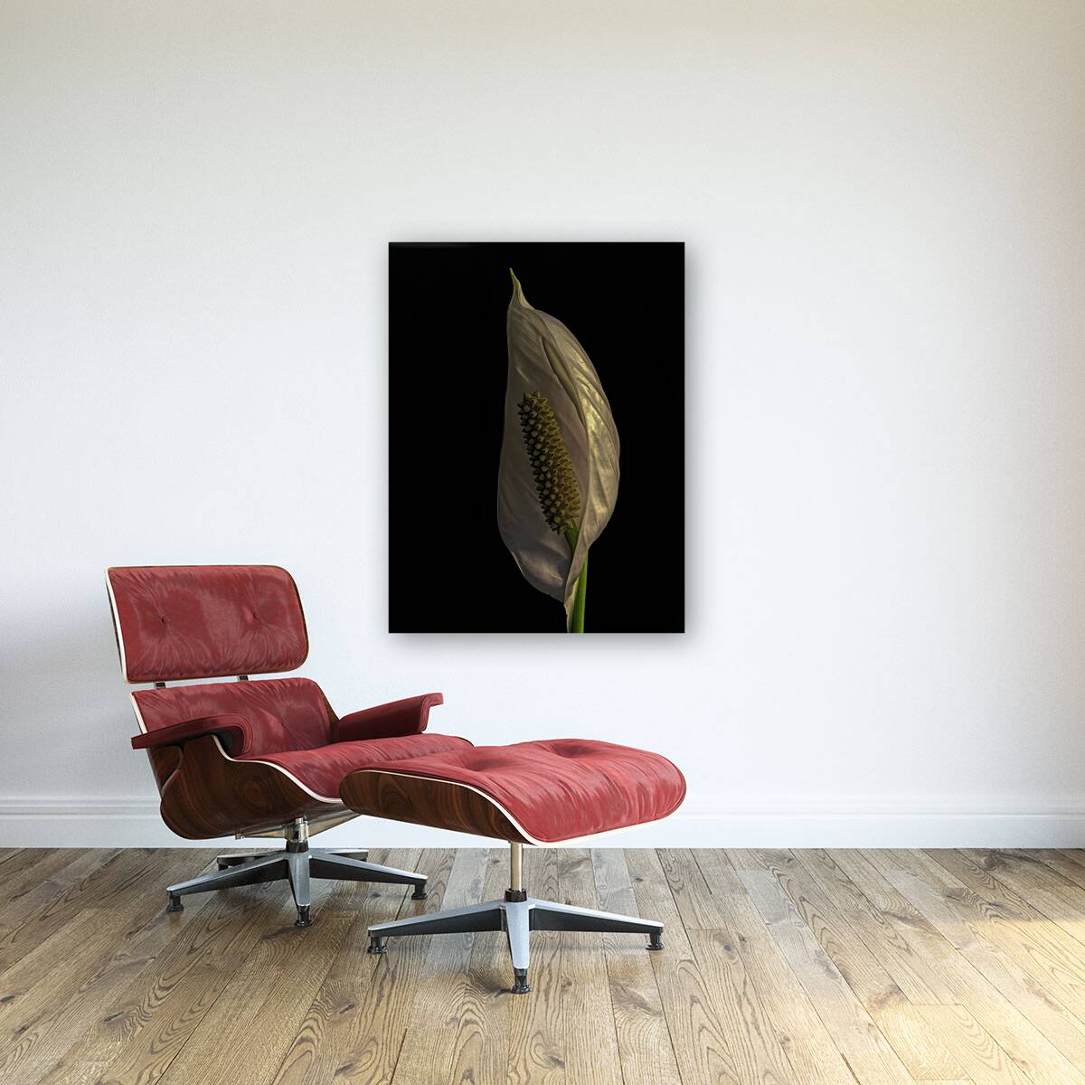 FLO 00528 Reproduction