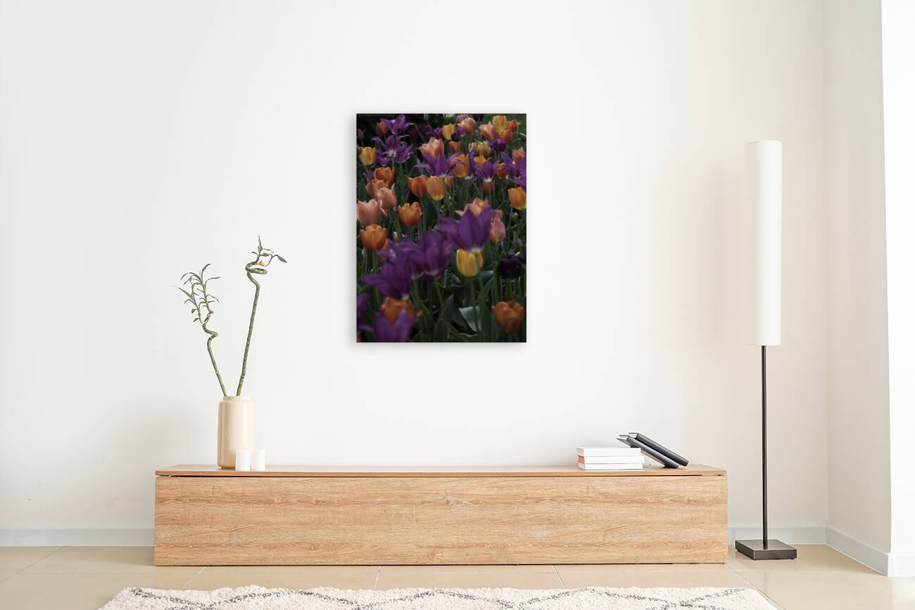 FLO 00519 Reproduction