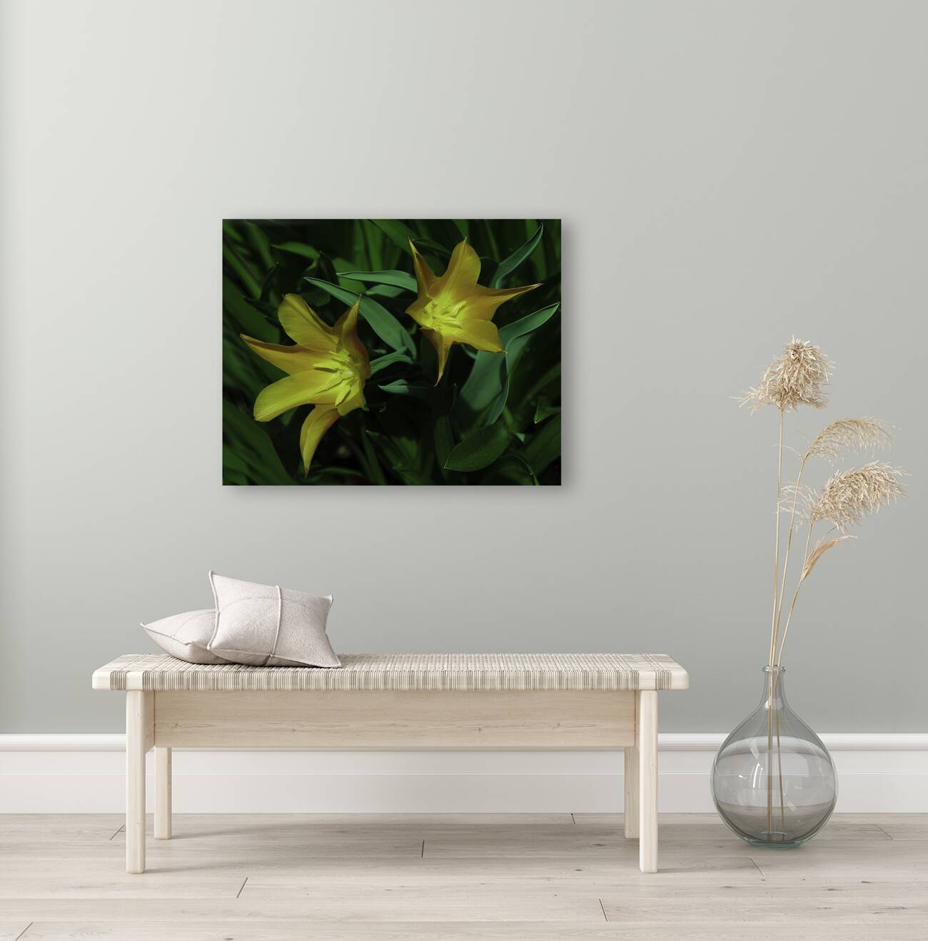FLO 00515 Reproduction