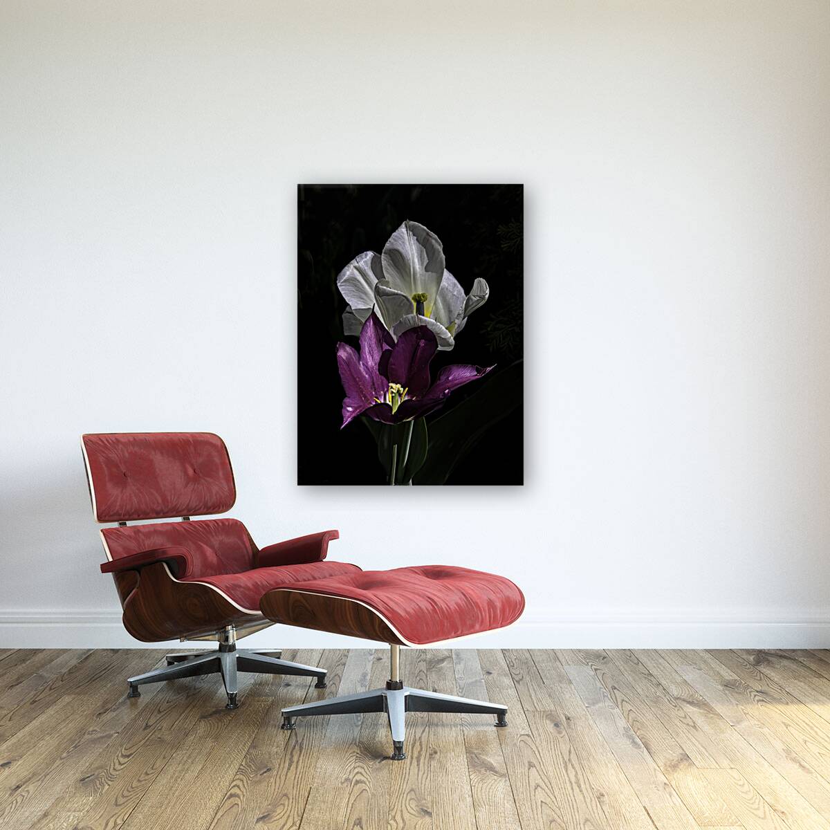 FLO 00520 Reproduction