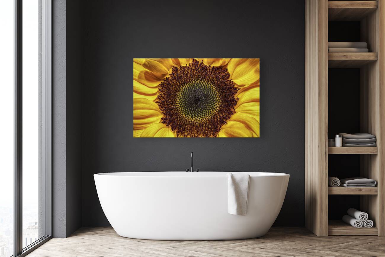 FLO 00524 Reproduction