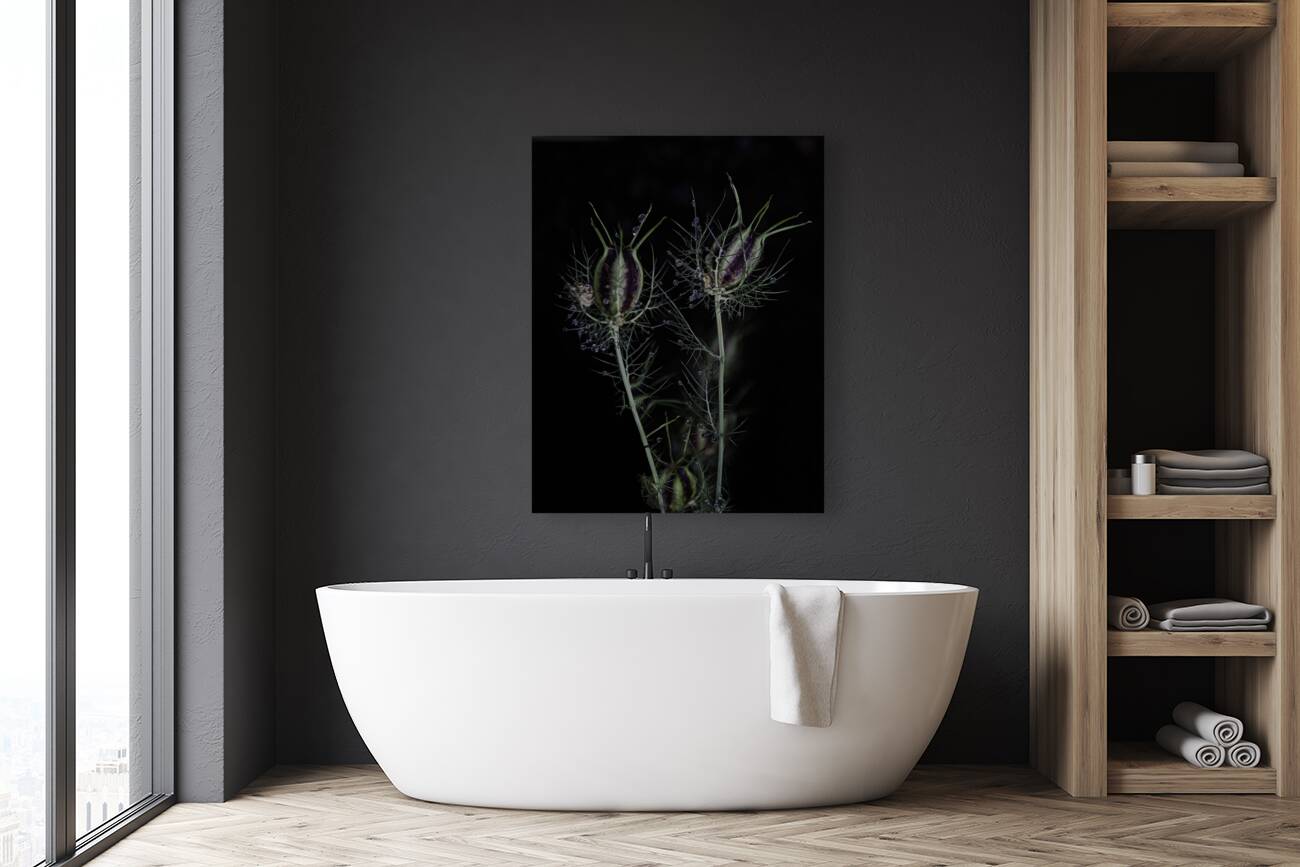 FLO 00567 Reproduction