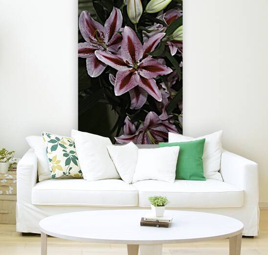 FLO 00604 Reproduction
