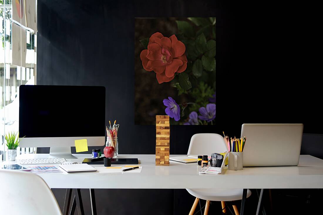 FLO 00582 Reproduction