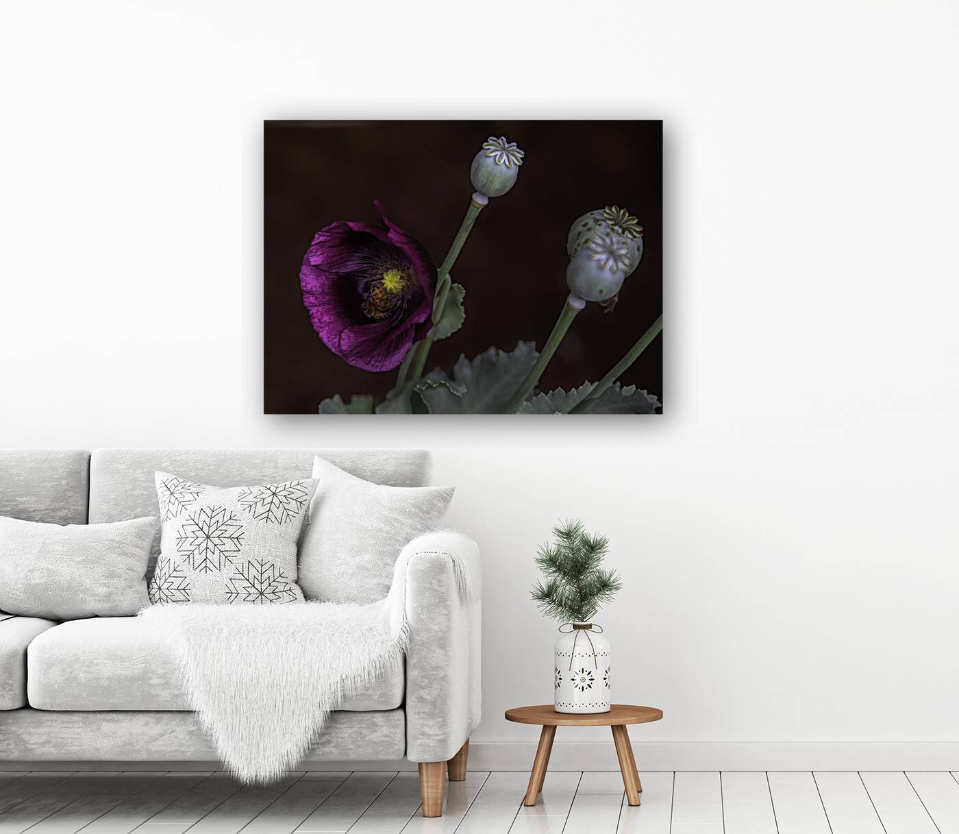 FLO 00575 Reproduction