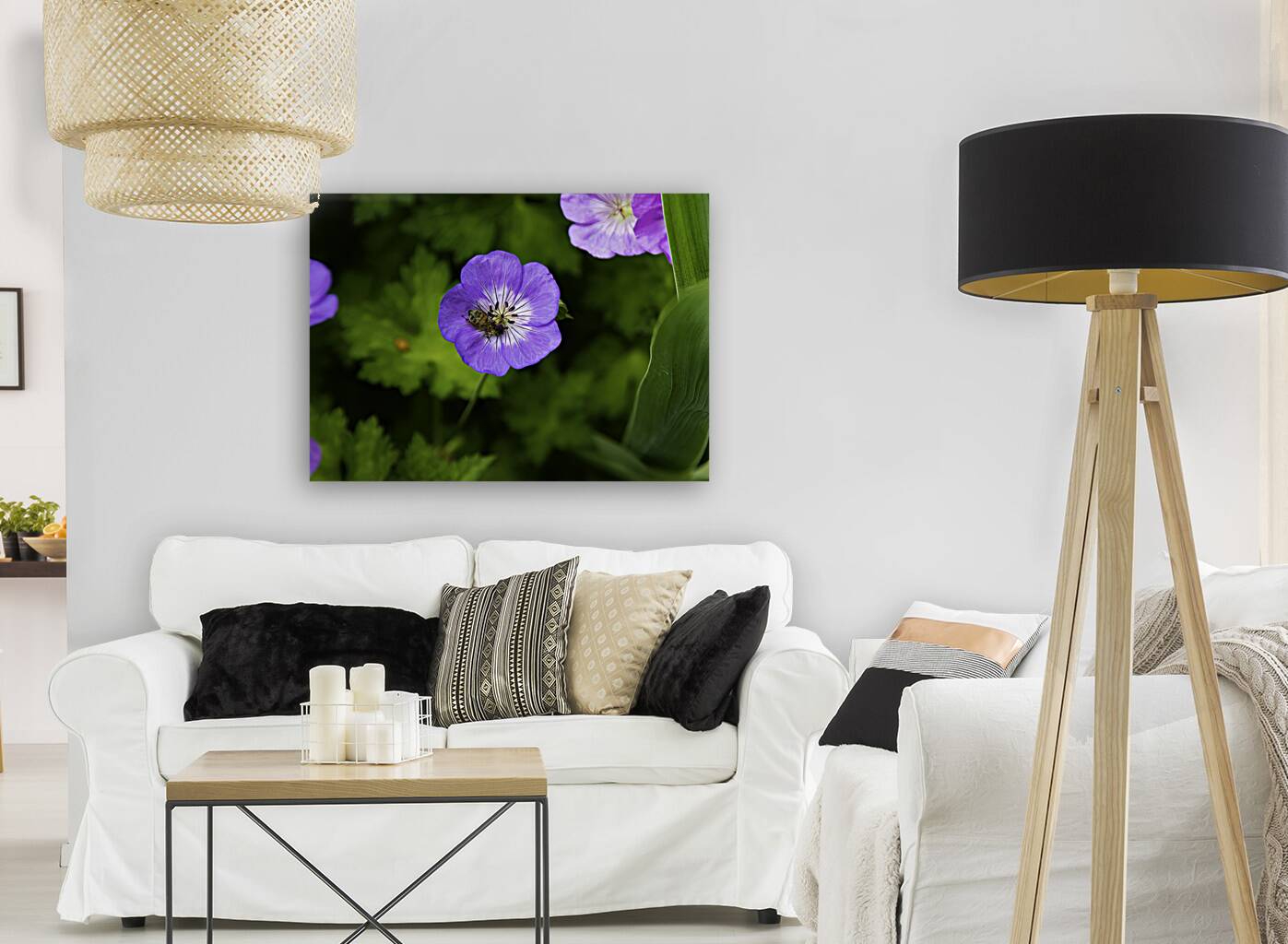 FLO 00581 Reproduction
