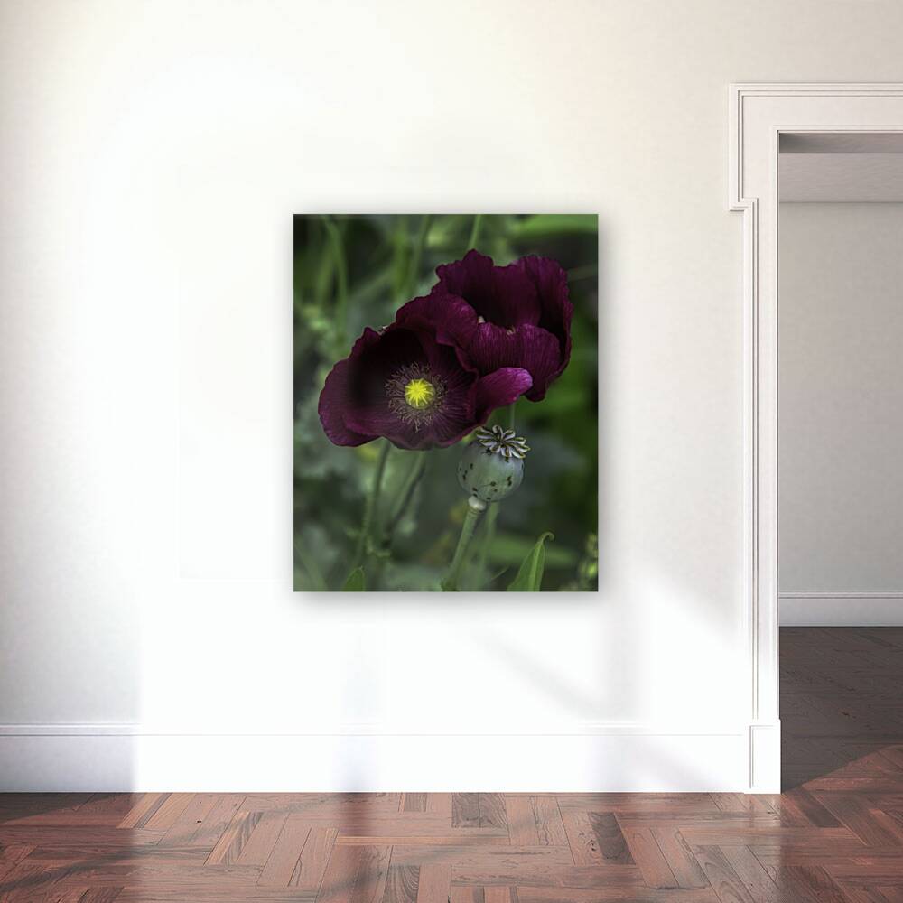 FLO 00584 Reproduction