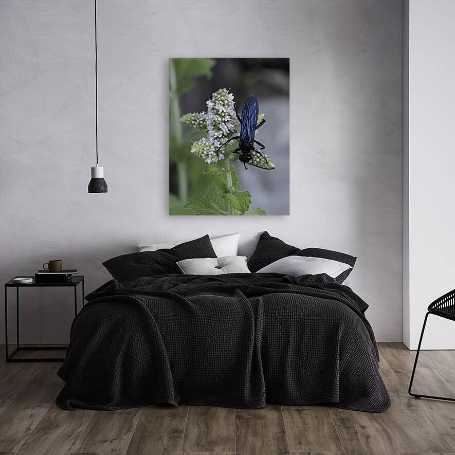 INS 00615 Reproduction