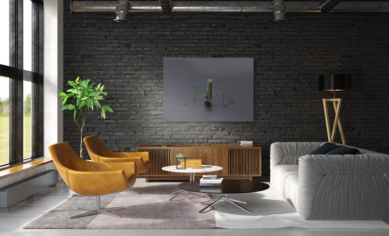 INS 00635 Reproduction