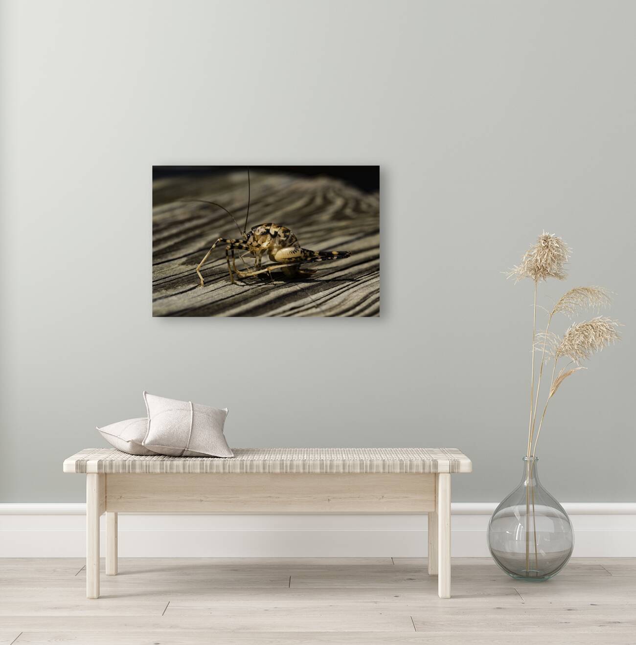 INS 00631 Reproduction