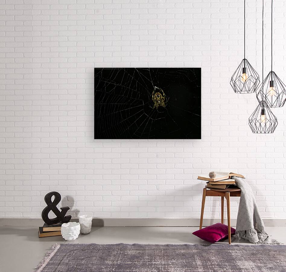 INS 00637 Reproduction
